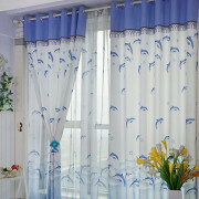 Curtains (4)